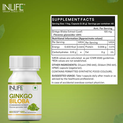 INLIFE Ginkgo Biloba Extract Capsules 120mg | Herbal Supplement | Memory Support - 60 Vegetarian Capsules (Pack of 1, 60)