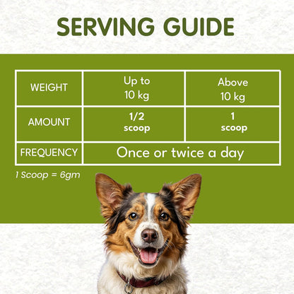 Petroyale Oral Probiotics for Dogs -9B+ CFU Dog Dental Powder for Plaque & Tartar Removal - Fresh Breath, Gum Health & Oral Care Support - Dental Powder for Dogs | 100g