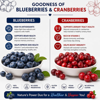 Dry Goods Co Blueberry & Cranberry Dried Berry Mix | No Added Sugar | Fresh and Healthy