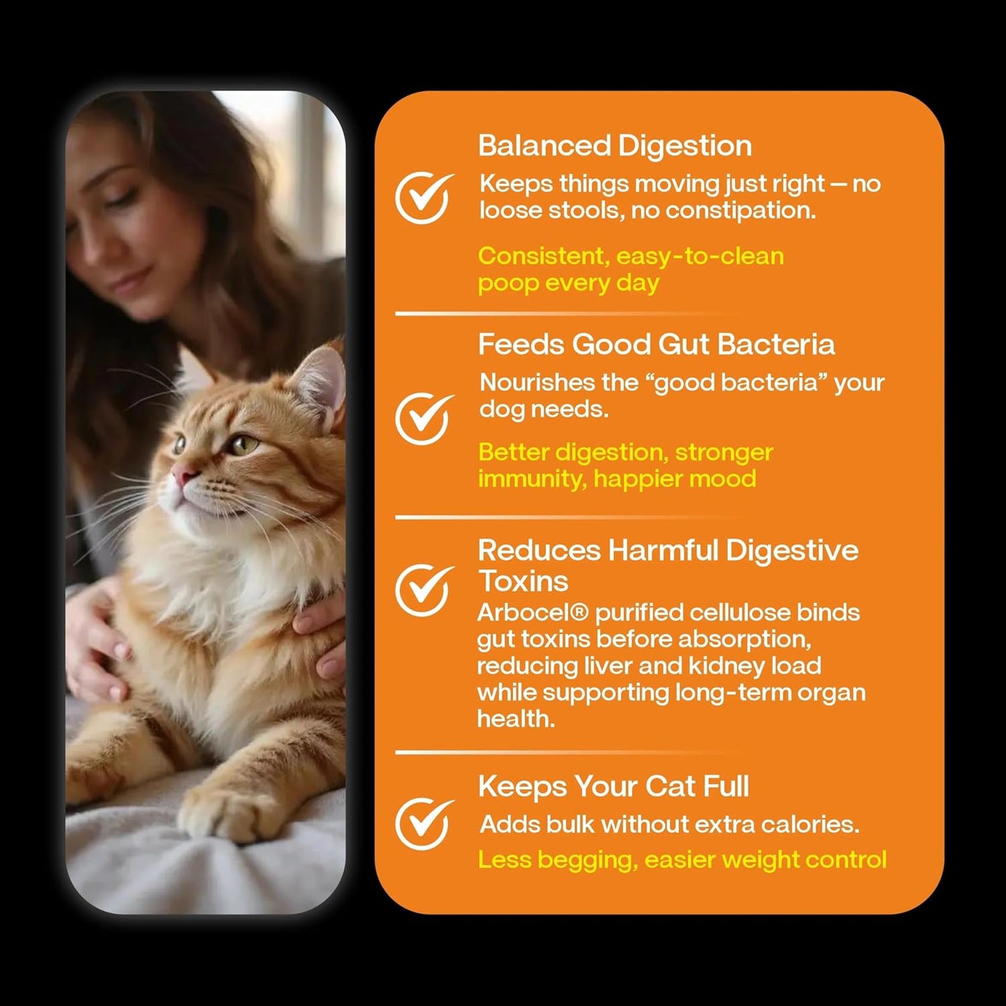 Wuuff & Meow Gently Cooked Wet Cat Food – Chicken & Salmon Medley Cat Meal | High Protein, Grain Free | Powered by BIOFIBER™ with Arbocel® | Vet-Formulated | (100 g (Pack of 1))