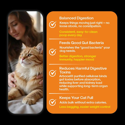 Wuuff & Meow Gently Cooked Wet Cat Food – Chicken & Salmon Medley Cat Meal | High Protein, Grain Free | Powered by BIOFIBER™ with Arbocel® | Vet-Formulated | (100 g (Pack of 1))