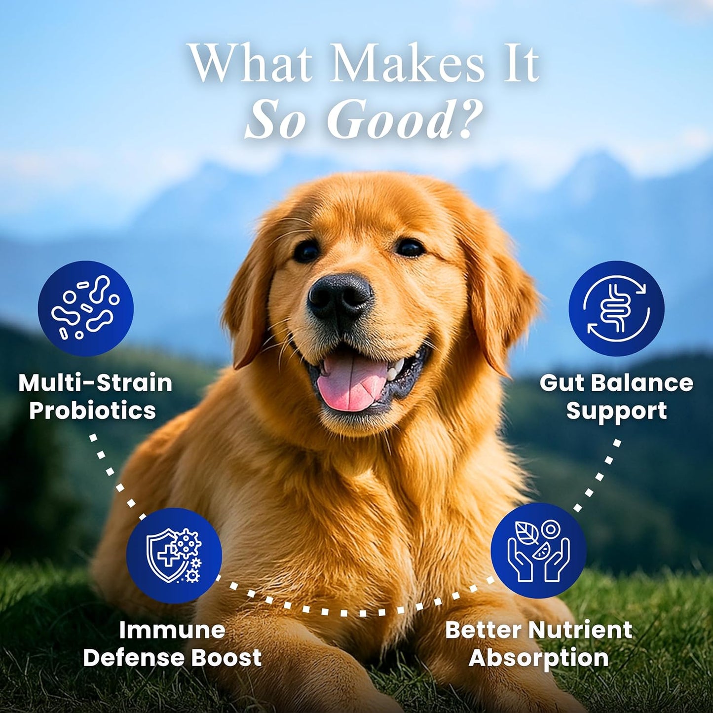 Petroyale Dog Pre+ Probiotic & Prebiotic Chews – Probiotics for Dogs – Dog Gut Health Supplement – Relieves Diarrhea, Improves Digestion & Immunity – 60 Soft Chews