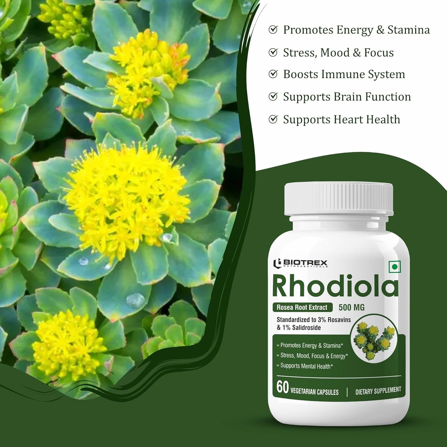 Biotrex Nutraceuticals Rhodiola 500mg Supplement | Adaptogenic Natural Herb | Relaxation & Cognitive Wellbeing | Enhances Resilience, Sleep & Focus | Healthy Stamina | Non-GMO | 60 Veg Capsules