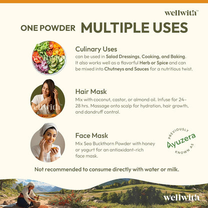 Wellwith Himalayan Sea Buckthorn Dry Berry Kkin Powder, 100g | Rich in Omega 3, 6, 7, 9 | Collagen, Fiber, Omegas, Vitamin C, Vitamin E | Dry Sea Buckthorn Berry Powder (100, Grams)