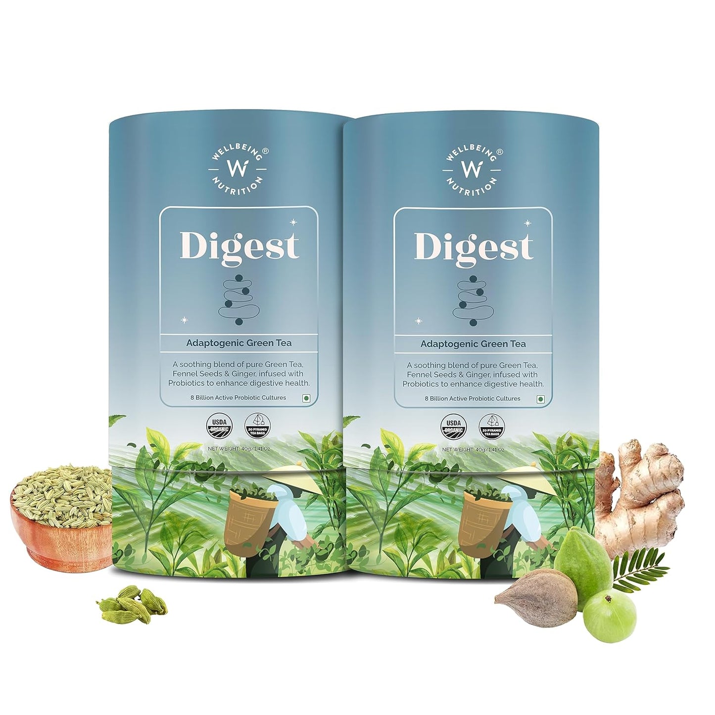 Wellbeing Nutrition Digest Green Tea | Digestive Tea with Probiotics, Digestive Enzymes, 8 Billion CFU & Fennel Seeds for better Digestion, Bloating, Gas and Acidity relief (40 Pyramid Tea Bags)