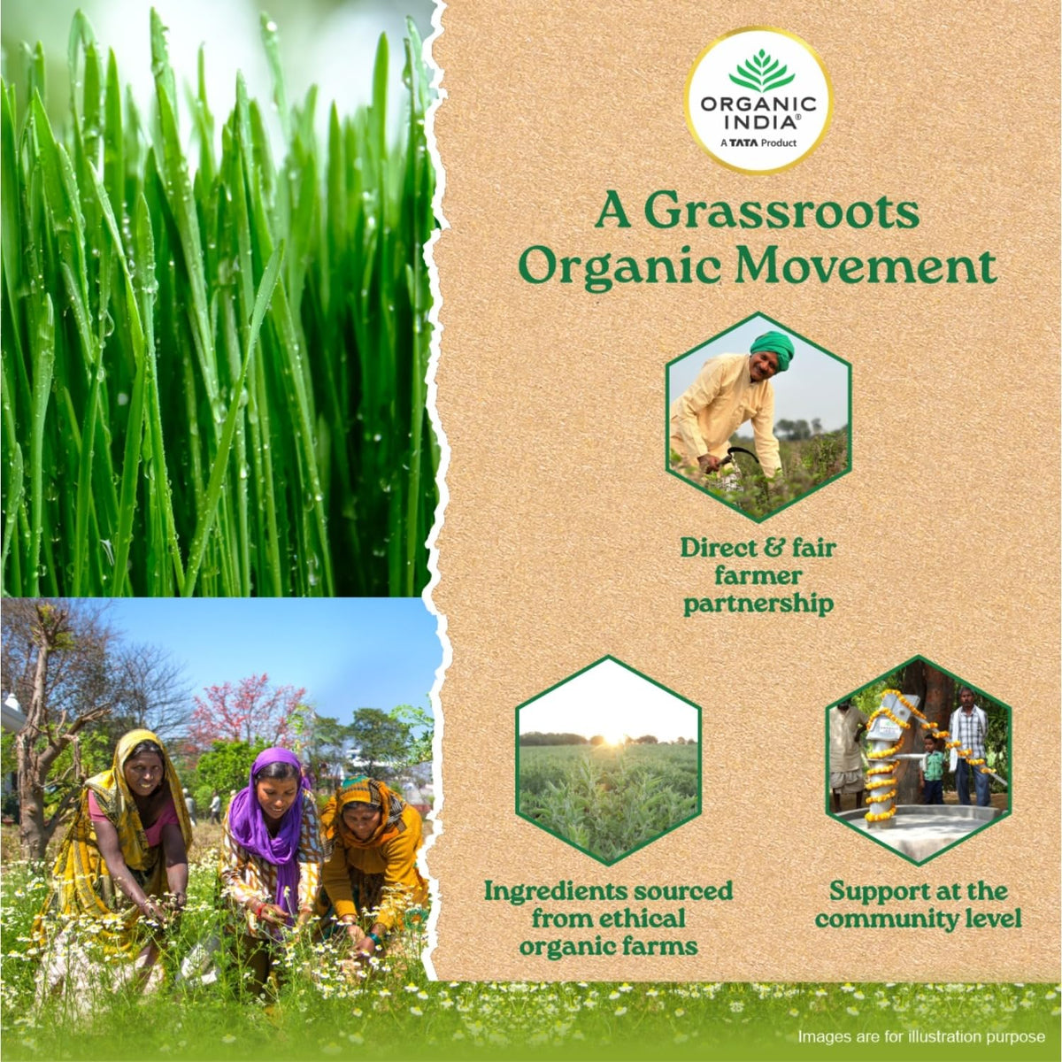 A TATA Product - Organic India Wheat Grass - 100g, Supports Immunity & Boosts Stamina, Rich in Natural Antioxidants, Vitamins & Minerals, For Detox, Overall Well-Being, GMP & NPOP Certified Organic