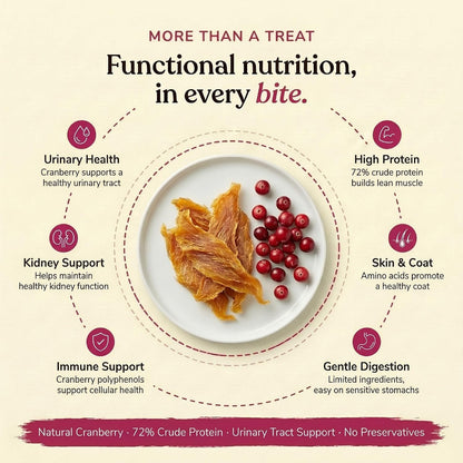 Whisker and Wilde Dehydrated Chicken Jerky Cat Treats | Urinary Tract Health Support with Cranberry | Antioxidant-Rich | Dental Chew | Training and Reward | No Preservatives | 70g