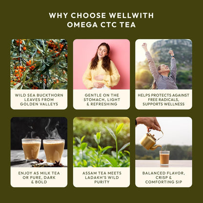 Wellwith Sea Buckthorn Omega CTC Tea 250g | Natural Sea Buckthorn Berry Infused Tea | Wellness and Refreshing Blend (Pack of 1)