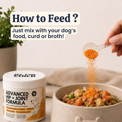 My Fur Child Advanced Hip & Joint Formula for Dogs | Promotes Joint Health, Mobility & Comfort | MSM, Glucosamine, Chondroitin, Curcumin, Hyaluronic Acid and More | Lasts up to 60 Days