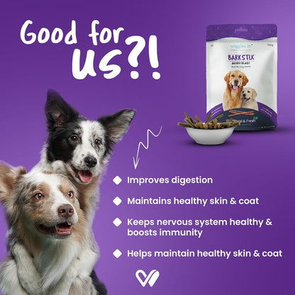 Wiggles Barkstix Dog Treats (Berry Blast, 100g) | Fresh Chicken Soft Chew Sticks for Training Adult Puppies | Boost Healthy Skin & Coat and Anti-Ageing with Ashwagandha and Biotin | for All Breeds
