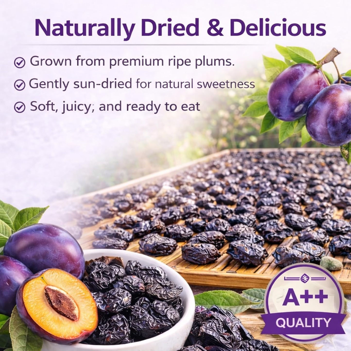 Dry Goods Co Pitted Prunes 200g | No Added Sugar | Premium Dried Plums