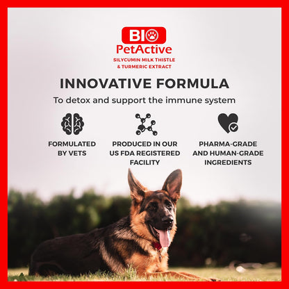 Bio PetActive Silycumin 1,5 g 45 Tablets Milk Thistle & Turmeric Extract Silymarin Curcumin Kidney & Liver Support Suitable for Large Breed Dogs