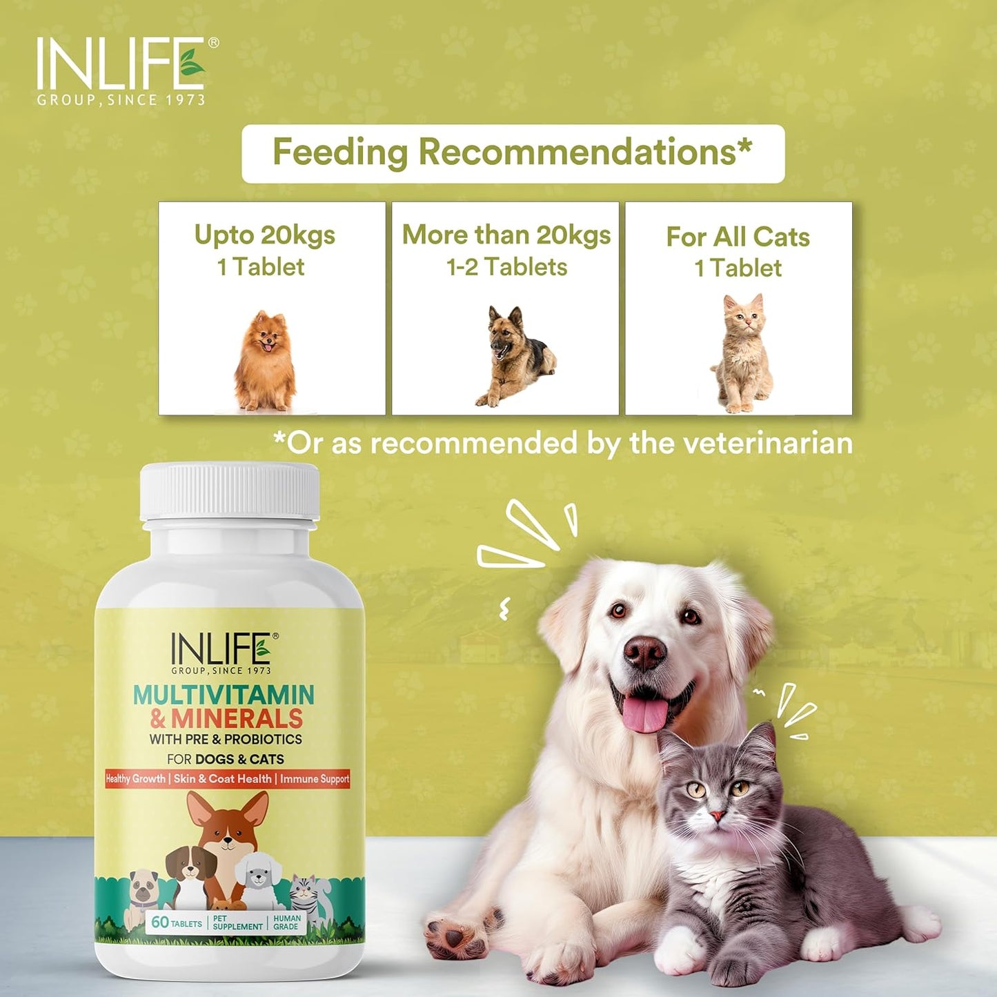 INLIFE Multivitamin for Dog Cat & Pets | Ginseng, Prebiotic & Probiotic Vitamin B12, C, D, E, Zinc & Biotin Supplement for Healthy Growth, Skin & Coat, Immune Support Supplement - 60 Tablets
