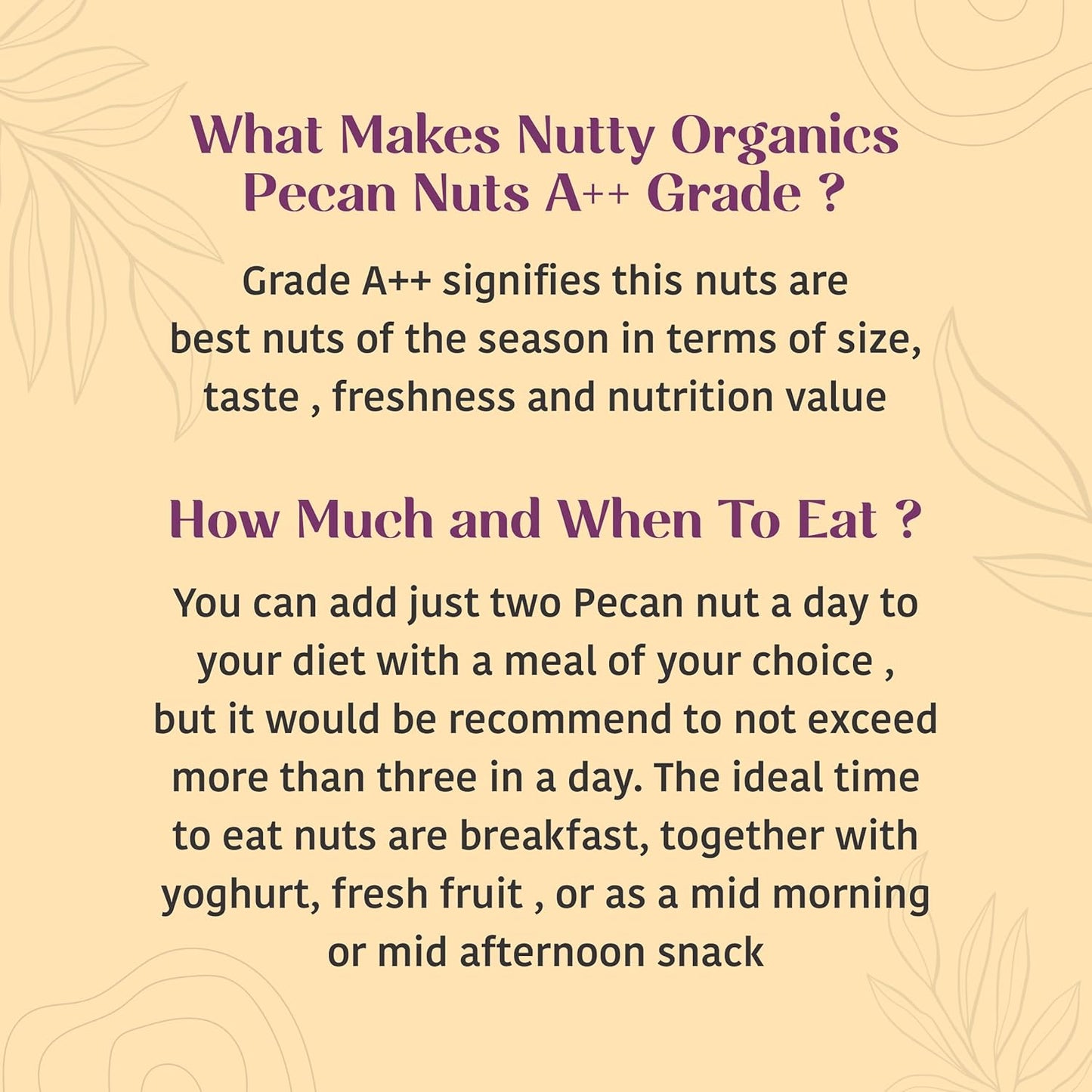 Nutty Organics Pecan Nuts Kernel 200g | Premium Shelled Pecan Nuts | Rich in Antioxidants & Healthy Fats | Natural Dry Fruits