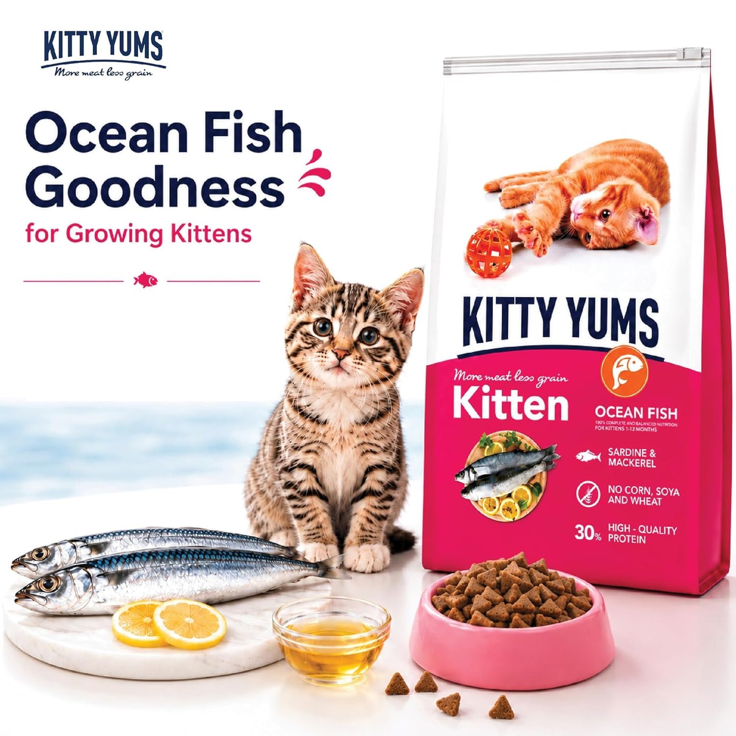 Kitty Yums Kitten (1-12 Months) Dry Cat Food 1.2kg Pack | Ocean Fish Flavour | Support Digestive Health | Strong Vision Development | Strong Immune System