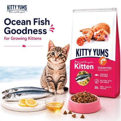 Kitty Yums Kitten (1-12 Months) Dry Cat Food 1.2kg Pack | Ocean Fish Flavour | Support Digestive Health | Strong Vision Development | Strong Immune System
