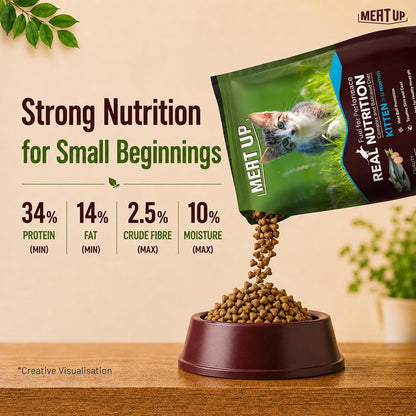 Meat Up Kitten Dry Cat Food (Up to 12 Months) 1.2kg Pack | Ocean Fish Flavour | Complete Nutrition | Taurine for Heart