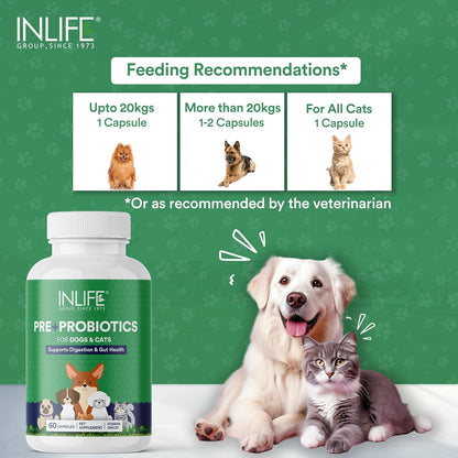 INLIFE Prebiotics and Probiotics for Dogs Cats and Pets | Supplement for Gut Health | Lactobacillus Bacteria for Digestive Health Immunity Booster - 60 Capsules