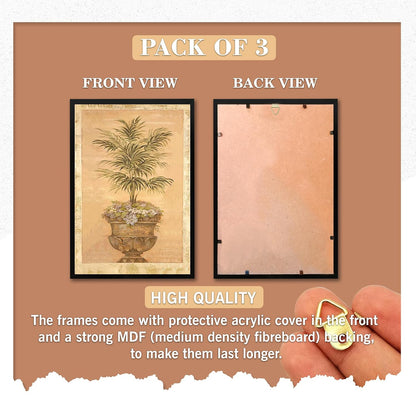 Wall Painting Frames For decor, Pictures Frame For Living Room, Home Decoration, Bedroom, Set of 3, 1pc- 23 x 30 cm, 2pc- 12.5 x 30 cm (Design 2)