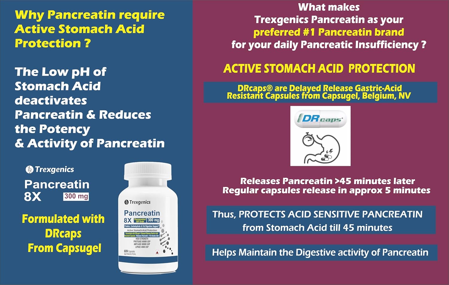 Promotional graphic for Trexegenics Pancreatin 8X with information on active stomach acid protection.