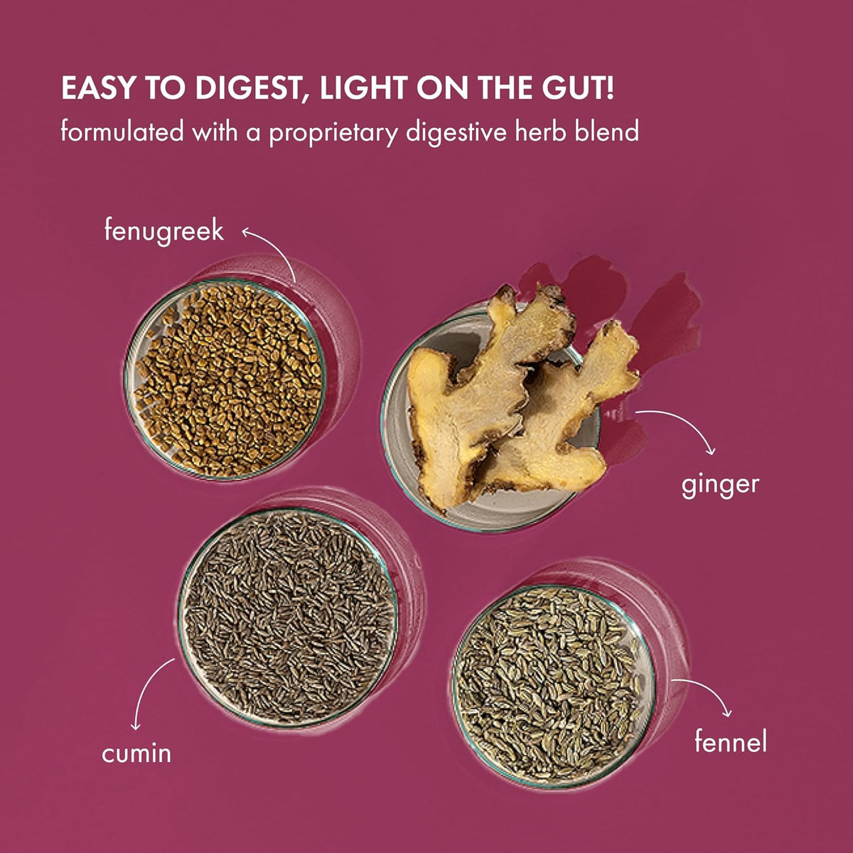 Herbal ingredients for digestive health on a purple background