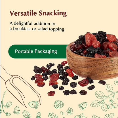 Vedaka Berries Mix | 200 g | Blueberry, Strawberry, Cranberry and Black Currant | Healthy Snacking