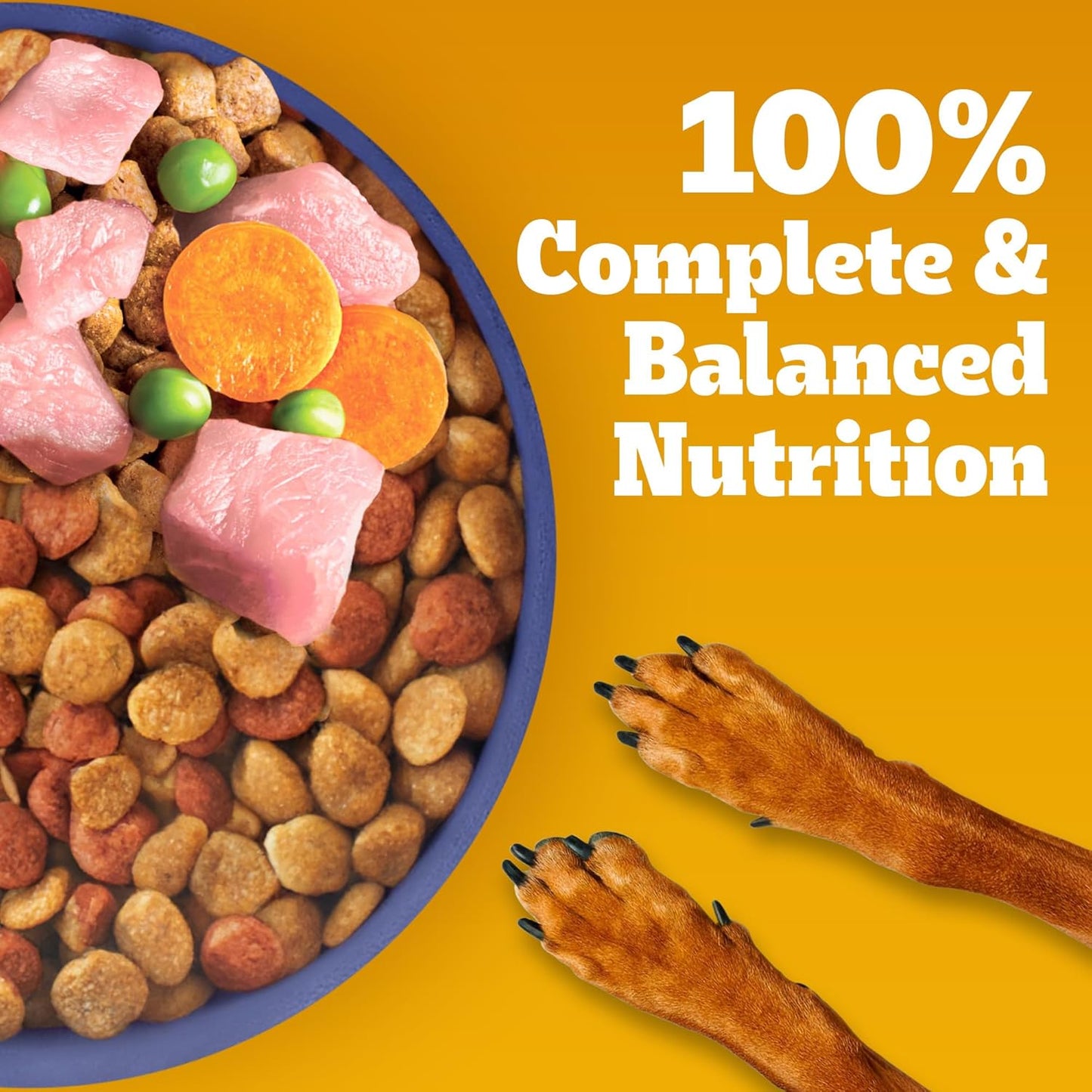 Pedigree Puppy Dry Dog Food, Chicken & Milk, 1 kg, Contains 37 Essential Nutrients, 100% Complete & Balanced Food for Puppies