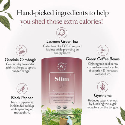 WELLBEING NUTRITION Slim Tea|Sliming Tea For Weight Management|Improves Metabolism, Satiety & Detox|Jasmine Green Tea, Garcinia Cambogia, Green Coffee Beans (40 Pyramid Tea Bags) - 40 Gram