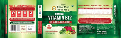 Vlado’s Himalayan Organics Plant-Based Vitamin B12 with B-Complex & Moringa | Energy, Nerve & Brain Support | 60 Veg Capsules