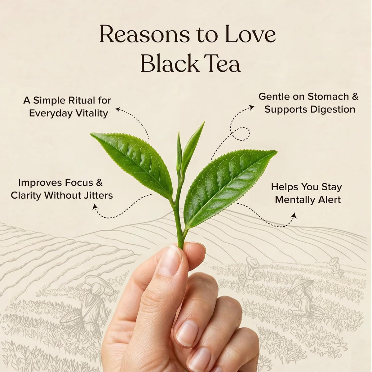 Naturgized Premium Whole leaf Orthodox Tea