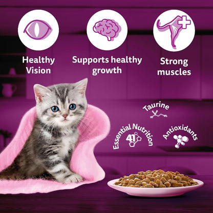 Whiskas Junior Kitten (2-12 Months) Wet Cat Food, Chicken in Gravy, 80 g Hydrating Food Made With Real Chicken, 100% Complete & Balanced Nutrition for Kittens