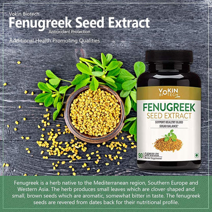 Fenugreek Seed Extract supplement with seeds and leaves on a dark background