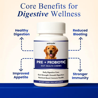 Petroyale Dog Pre+ Probiotic & Prebiotic Chews – Probiotics for Dogs – Dog Gut Health Supplement – Relieves Diarrhea, Improves Digestion & Immunity (90 Soft Chew)