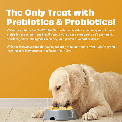 Pawfect Yogurt Melties Freeze Dried Pre and Probiotic Dog Treats with Pumpkin, Beetroot, Cabbage & Fennel Seeds- Healthy Gut- Low Calories- Grain & Gluten Free - Reward or Training Treats (38g/1.34oz)