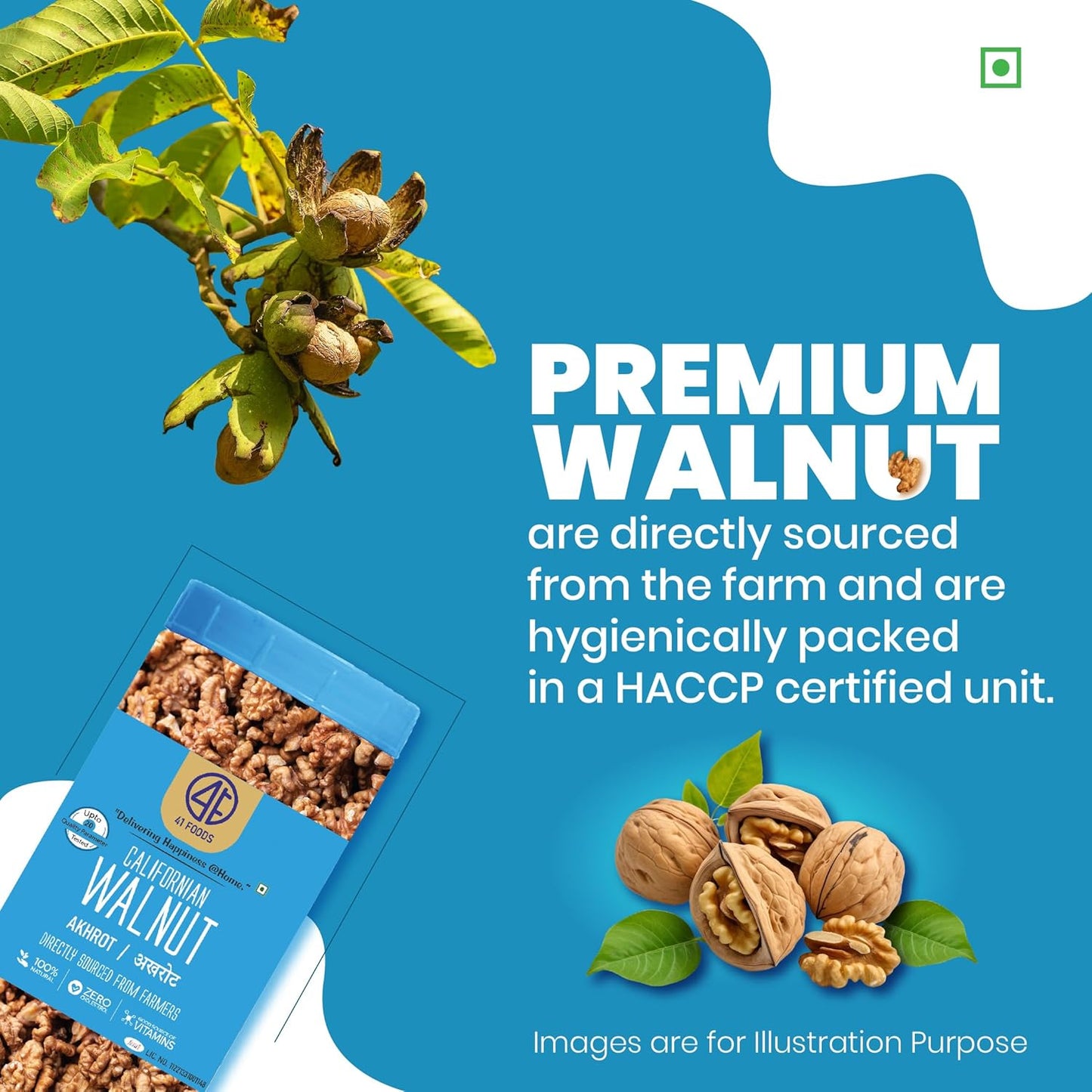 41 Foods Premium Dry Fruits Combo of Almonds and Walnuts | 1 KG (500g x 2)