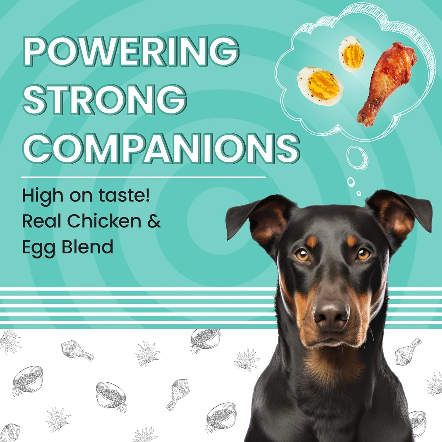 BARK OUT LOUD Essentials Adult Dog Food for Medium & Large Breed | Real Chicken & Egg | Gluten-Free, Prebiotics & Fish Oil for Immunity | Dry Dog Food for Labrador, Retriever, Husky – 1Kg | Gluten Free, Prebiotics, Fish Oil for Immunity