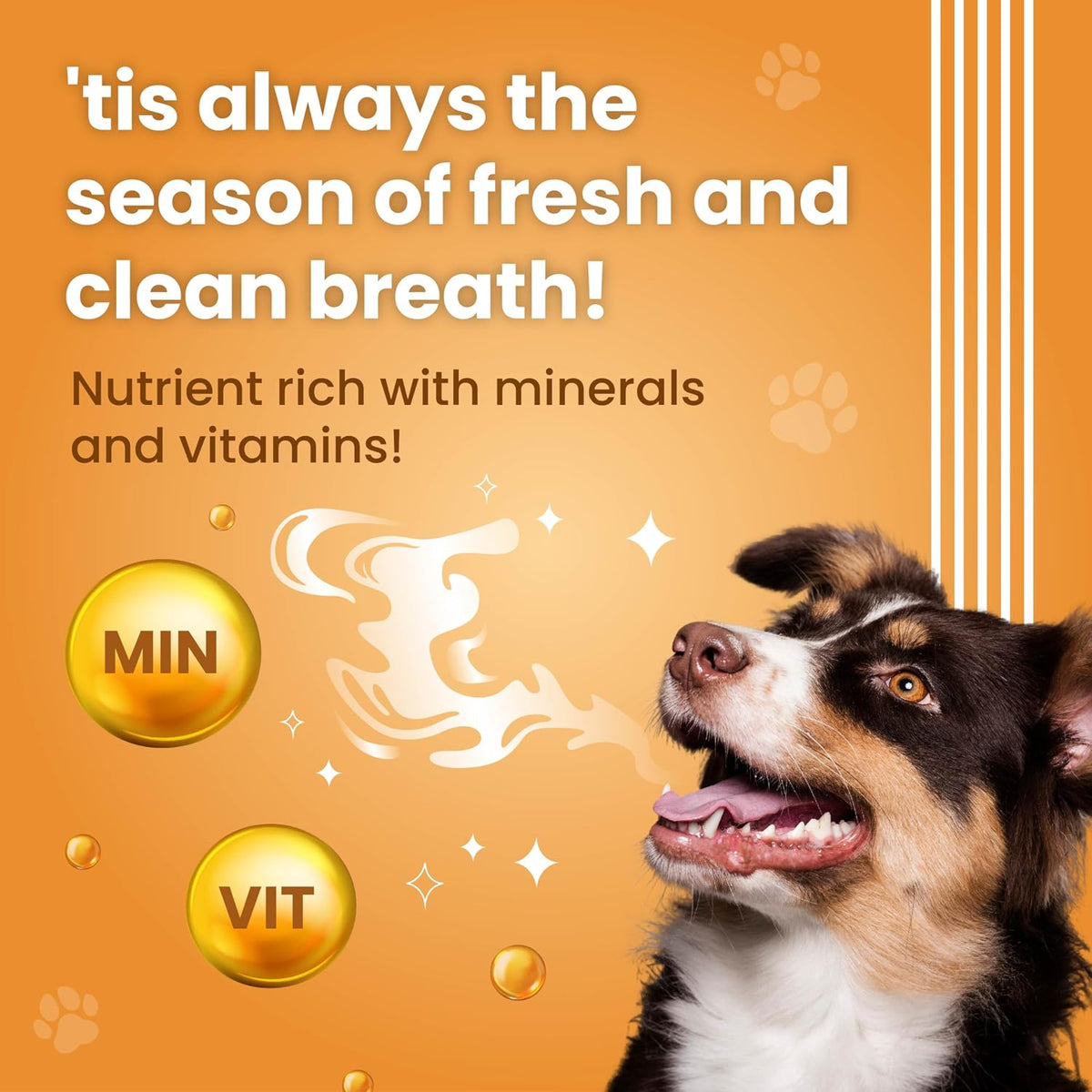 BARK OUT LOUD- Dental Sticks Dog Treats | Sugar Free | Plaque Tartar & Odour Oral Care | Fresh Smell Chicken Dog Treats - 100gm (100 gm, Dental Sticks)