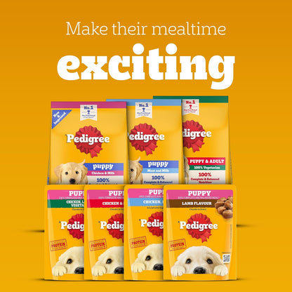 Pedigree Puppy Wet Dog Food, Chicken & Liver Chunks in Gravy, 70 g, Complete & Balanced Meal for Puppies