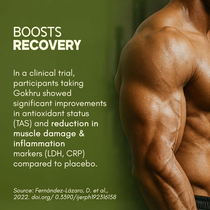 Muscular arm with text about Gokhru boosting recovery and clinical trial results on a green background