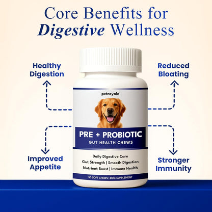 Petroyale Dog Pre+ Probiotic & Prebiotic Chews – Probiotics for Dogs – Dog Gut Health Supplement – Relieves Diarrhea, Improves Digestion & Immunity – Soft 30 Chews