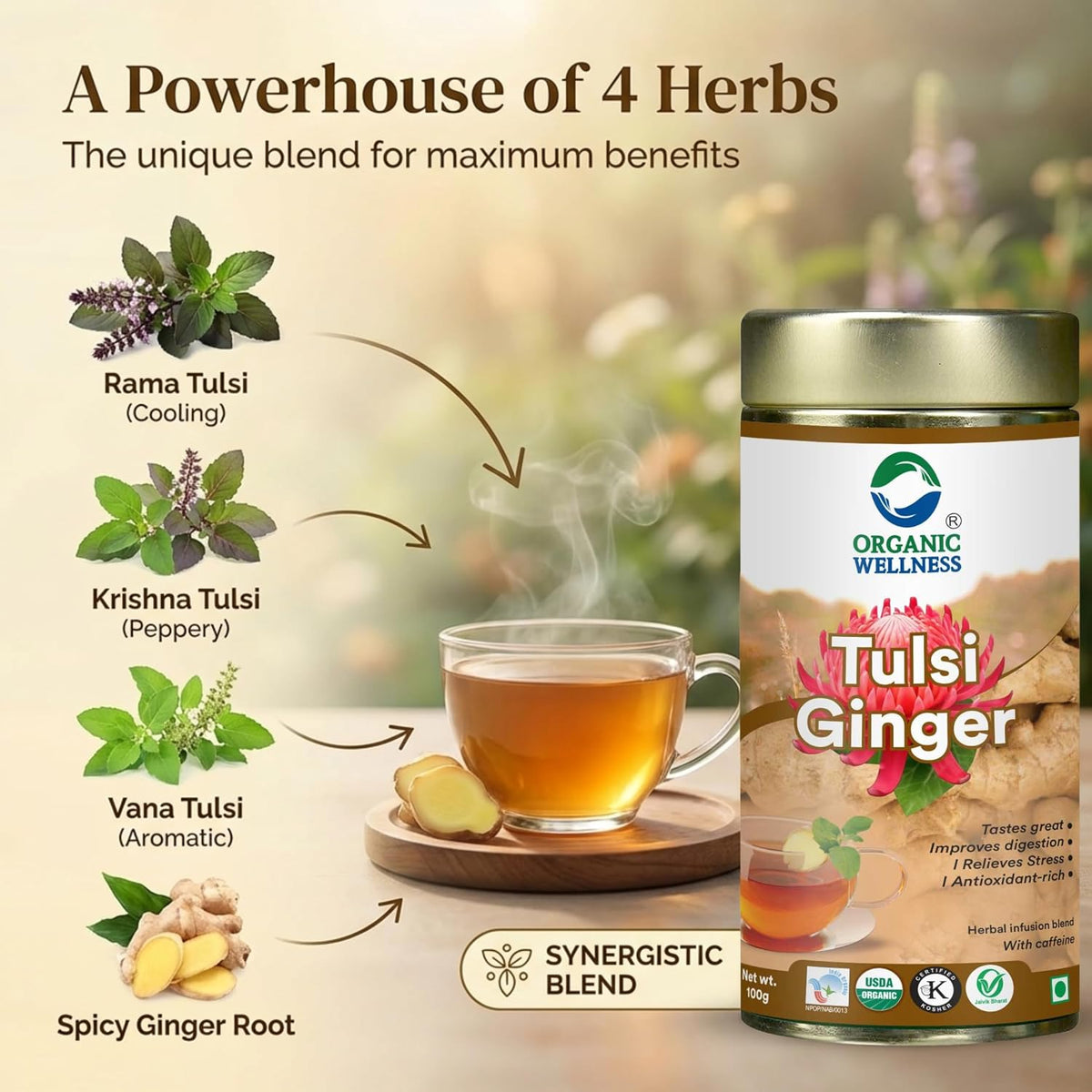 Organic Wellness Tulsi Ginger Herbal Tea 100g Tin | Natural Antioxidant Rich Blend | Supports Digestion | Relieves Stress | Boosts Metabolism | Enhances Immunity | Soothing Refreshing Daily Beverage