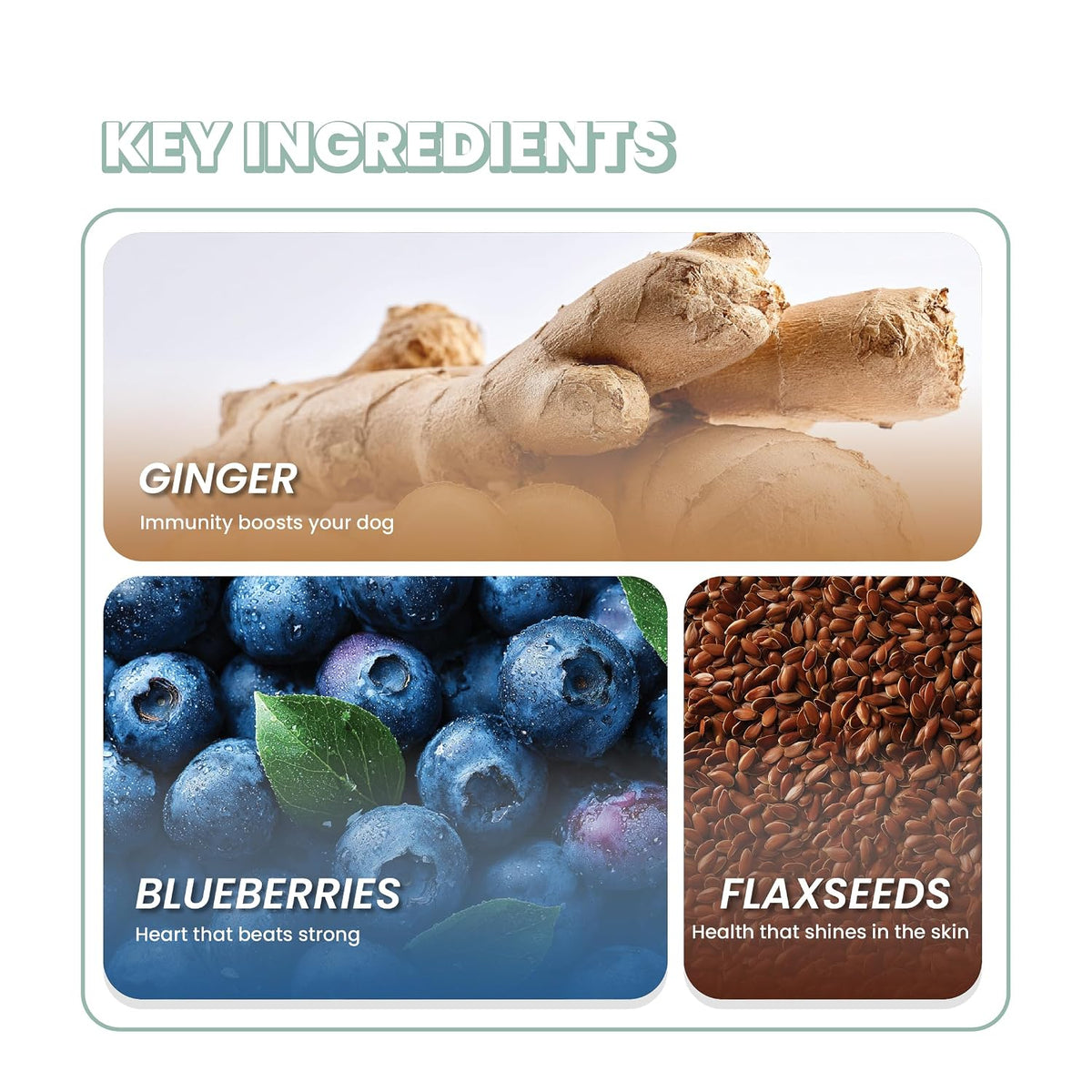 Fullr Daily Wellness, Soft & Chewy Sticks for Dog, 300 g