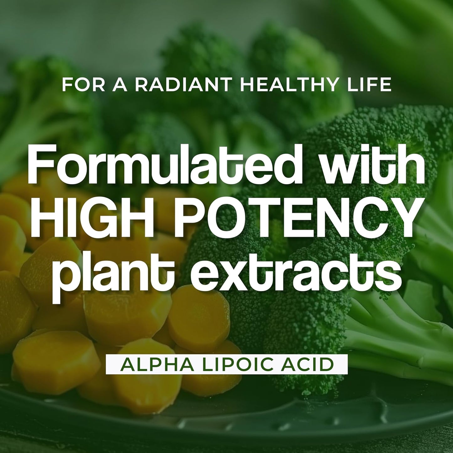 Zephivo HEALTH VEDA ORGANICS PRIVATE LIMITED Alpha Lipoic Acid 300Mg | 60 Veg Tablets | Boosts Liver Function, Maintains Healthy Blood Sugar, Antioxidant Support | For Both Men & Women