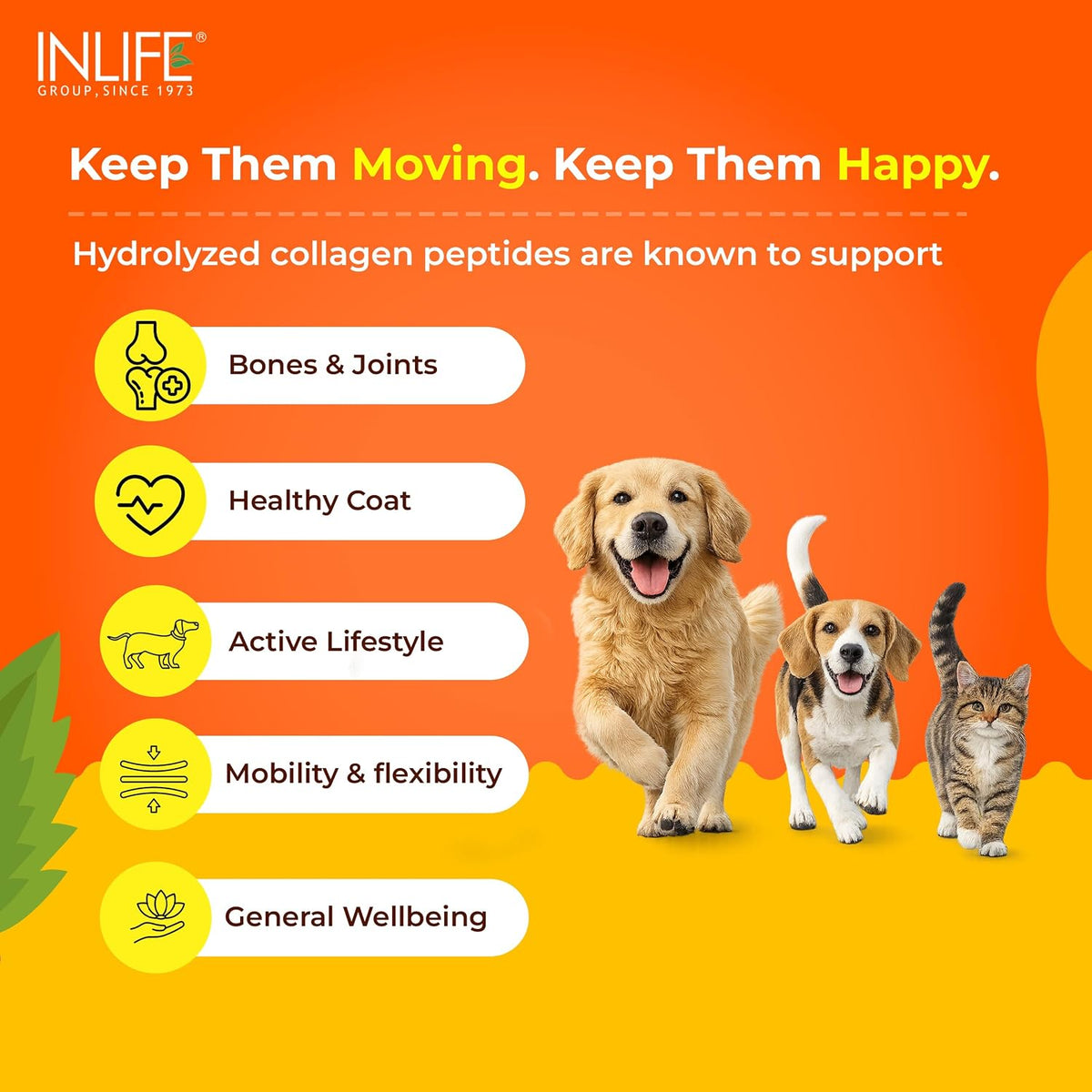 INLIFE Collagen Peptides Supplement Dogs Cats, Glucosamine 200g Orange | Joint Lubrication, Synovial Fluid, Immune Health, Antioxidant Activity, Human Grade, Palatable