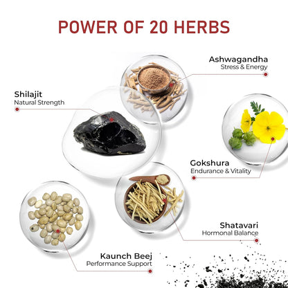 Illustration of 20 herbs with their names and benefits on a white background.