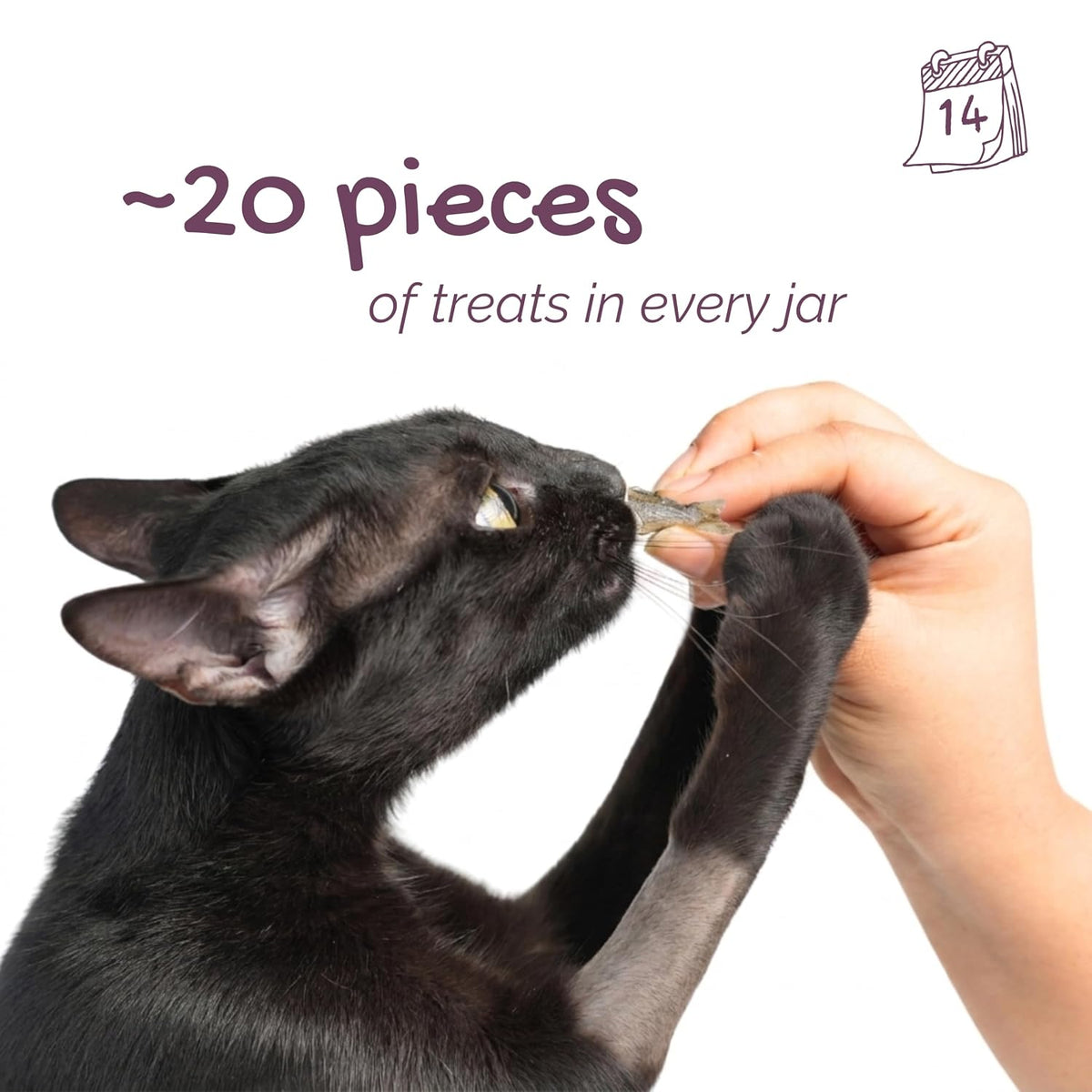 Chompz Freeze Dried Anchovy Cat Treats | Single Ingredient Fish Treat | 15g | Crunchy Cat Treats