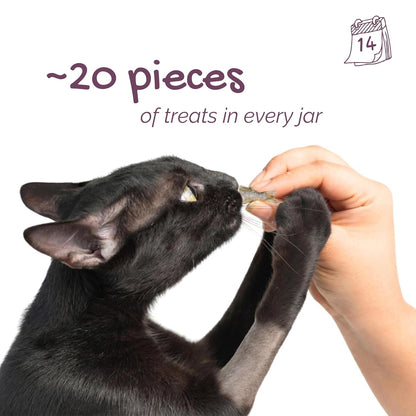 Chompz Freeze Dried Anchovy Cat Treats | Single Ingredient Fish Treat | 15g | Crunchy Cat Treats