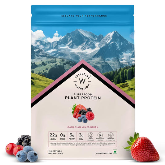 Wellbeing Nutrition Organic Vegan Plant Protein Isolate Powder | 22g Protein, 5g BCAA