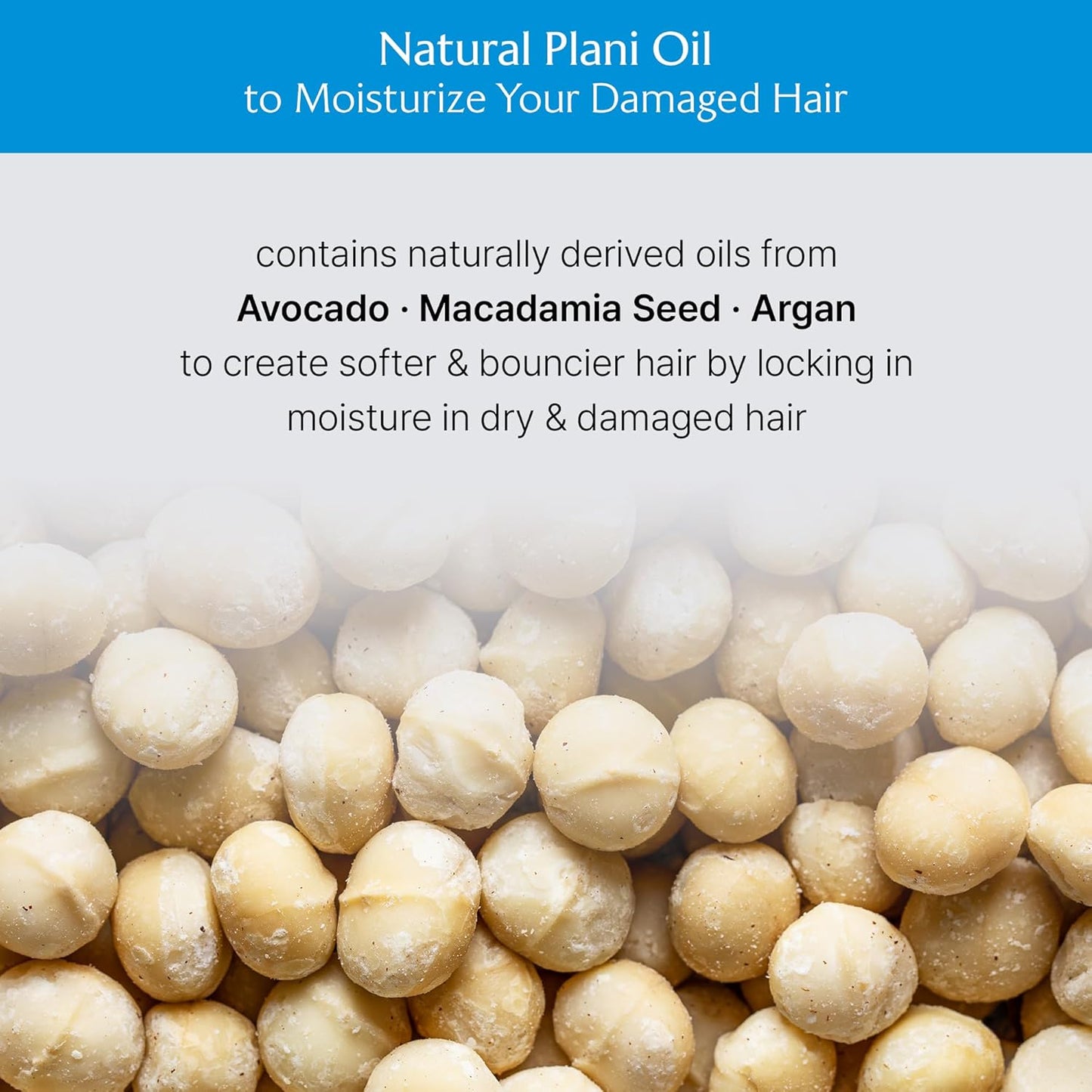 LADOR Wonder Hair Oil (100ml) Korean Lightweight Hair Oil with 7 Essential Plant Oil & Vitamin E, Deep Moisture, Frizz Control, Heat Protection & Shine Booster, Smooths Dry, Damaged Hair, Non-Greasy, Soft, Glossy Finish