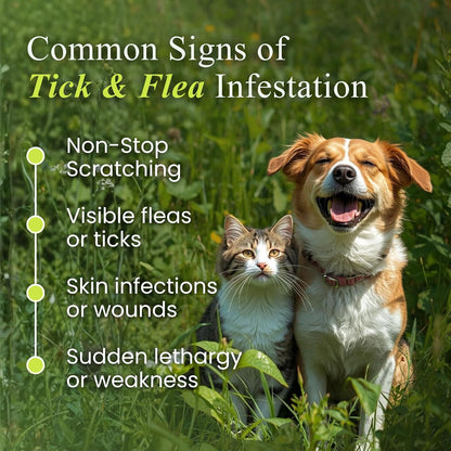 Petroyale Tick and Flea Spray for Dogs & Cats - Natural Oils - Essential for Flea & Tick Treatment - Easy-to-Use Flea Spray for Dogs and Cats - Anti tick Spray for Dog - Safe for Pets (100 ML)